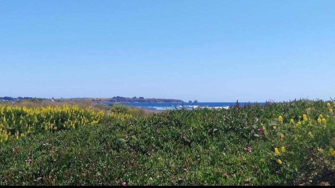 Saldemar Playa Hermosa Pichilemu Luaran gambar